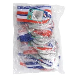 Award Medal On Ribbon - Silver 2" (DZ)