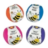 Kickballs - Bee Your Best Assortment (DZ)