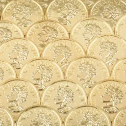 Plastic Gold Coins 1.25" (144 PACK)