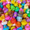 Rubber Ducky Assortment 2" (500 PACK)